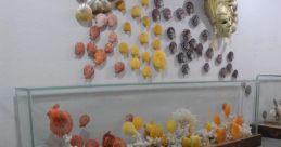Seashell Library