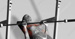 Bench press Library
