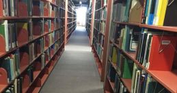 Spectators Library The Spectators Library is a cacophony of that tell the story of a thrilling volleyball match. The