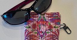 Sunglasses Case Library