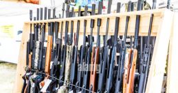 Pellet gun Library