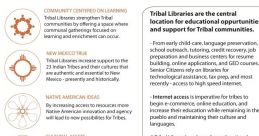 Tribal house Library