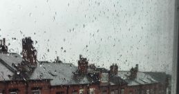 Street rain Library