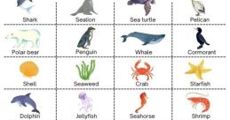 Aquatic creature Library