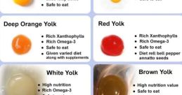 Yolk Library