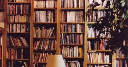A2 Library