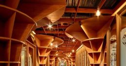 Parabolic Library The Parabolic S Library is a treasure trove of unique and captivating . One particular that caught my