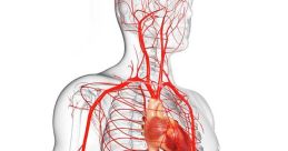 Arteries Library