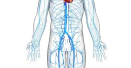 Veins Library