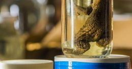 Amphibian Library