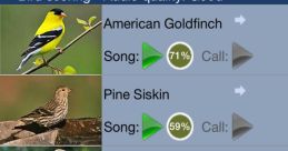 Bird song Library