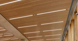Slatted Library