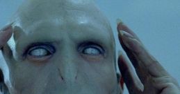 Lord Voldemort (Voiced by: Rupert Degas)