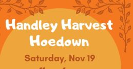Hoedown Library