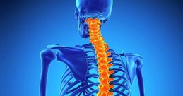 Spine Library
