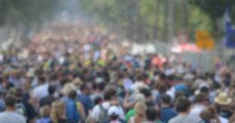 Crowds