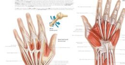 Hand pats Library