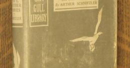 Seagull Library