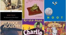 Twelve year old Library