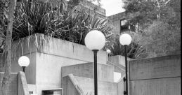 Bushland Library
