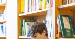 Timid Library