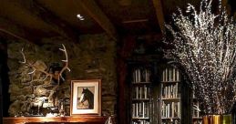 Country rock Library