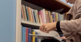 Skimming Library