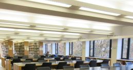 Faulty Library