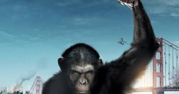 Apes Library