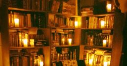 Nocturnal Library