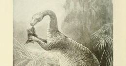 Pre historic creature Library The Prehistoric Creatures Library is a treasure trove of that transport you back in time to a