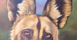 Wild dog Library
