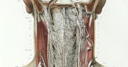 Throat click Library