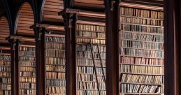 50 mm Library