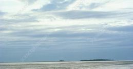 Dee Estuary Library