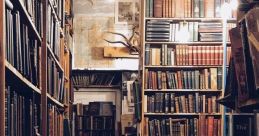 Edgy Library