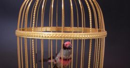 Singing birds Library