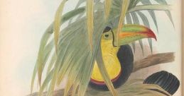 Toucan Library