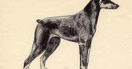 Doberman Library