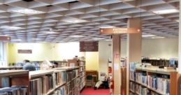 Lively Library