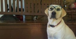 Retriever Library