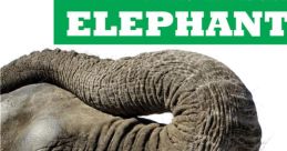 Elephant Library