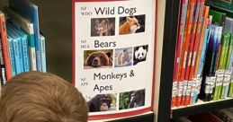 Wild dogs Library