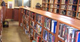 Penitentiary Library