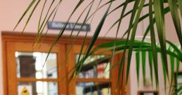 Secure Library