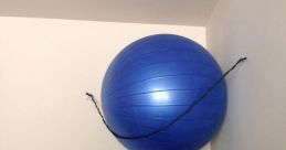 Fitness ball Library