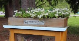 Little Free Library decorated with plants, featuring books on nature and gardening in a park setting.