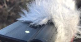 Deadcat windscreen Library