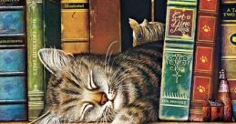 Sleepy Library