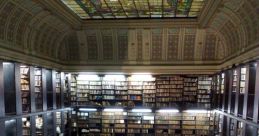 Rio Library